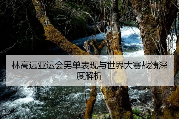 林高远亚运会男单表现与世界大赛战绩深度解析